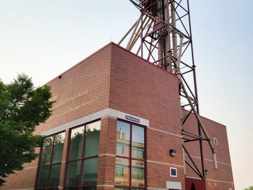 Centre for Grain Storage Research